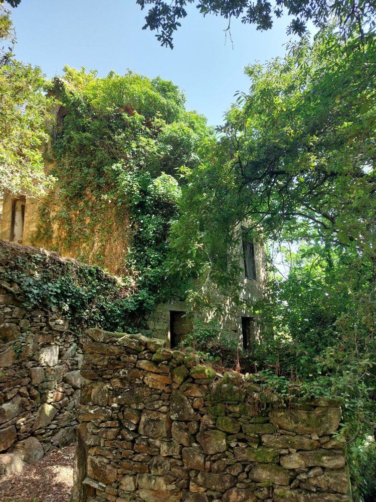  Land in Sever do Vouga, Portugal No. 275408