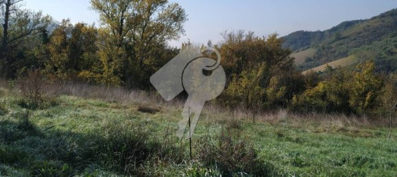 37000m² Land in Alviano, Italy No. 353497 5