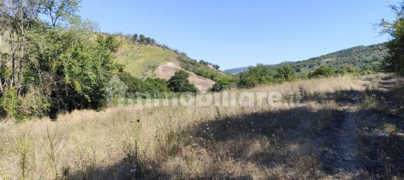 37000m² Land in Alviano, Italy No. 353497 3