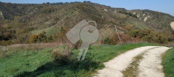 37000m² Land in Alviano, Italy No. 353497 4