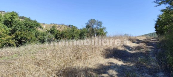 37000m² Land in Alviano, Italy No. 353497 2