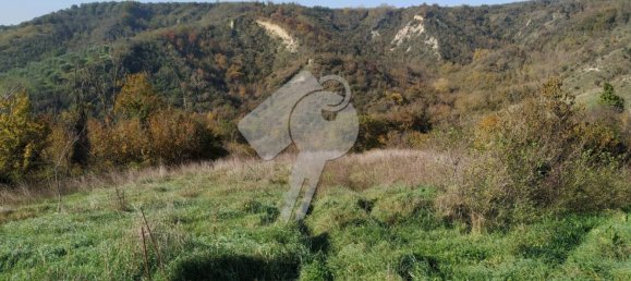 37000m² Land in Alviano, Italy No. 353497 6