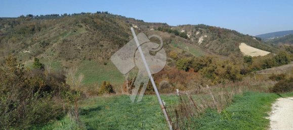 37000m² Land in Alviano, Italy No. 353497 8