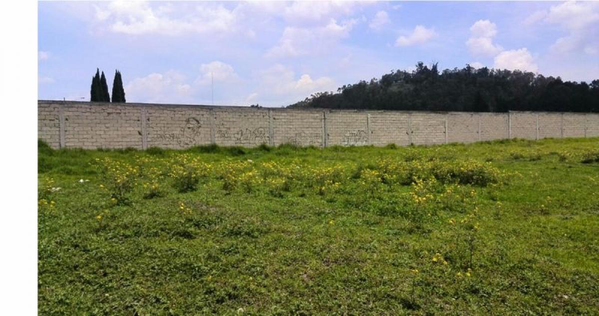 Terrain à Mexico No. 207117