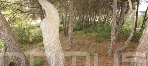 4 bedrooms House in Piera, Spain No. 170815 14