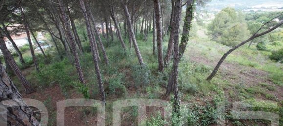 4 bedrooms House in Piera, Spain No. 170815 11