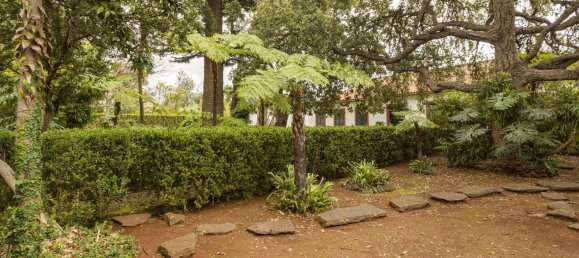 4 غرف نوم منزل في Funchal, Portugal رقم 127851 42