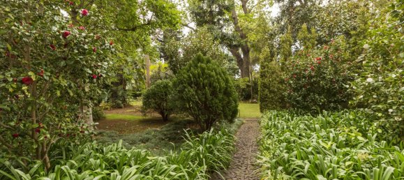 4 غرف نوم منزل في Funchal, Portugal رقم 127851 25