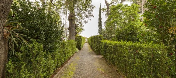 4 غرف نوم منزل في Funchal, Portugal رقم 127851 36