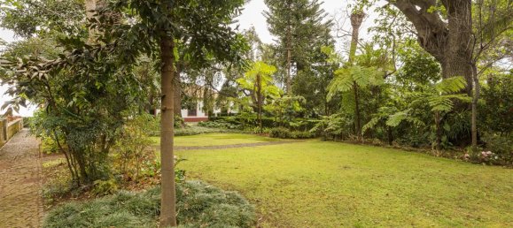 4 غرف نوم منزل في Funchal, Portugal رقم 127851 26