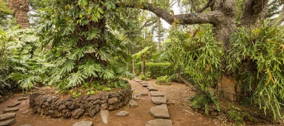 4 غرف نوم منزل في Funchal, Portugal رقم 127851 27