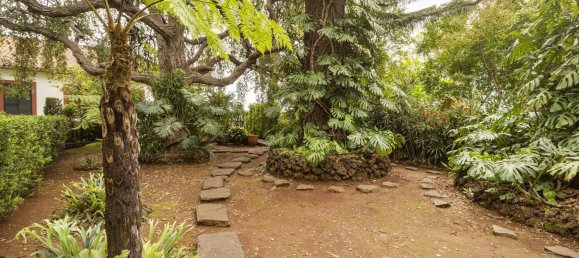 4 غرف نوم منزل في Funchal, Portugal رقم 127851 41