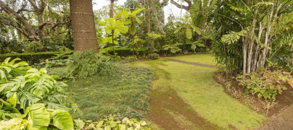 4 غرف نوم منزل في Funchal, Portugal رقم 127851 20