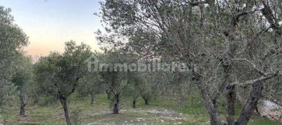 Вилла с 3 спальнями в Остуни, Италия № 133977 8