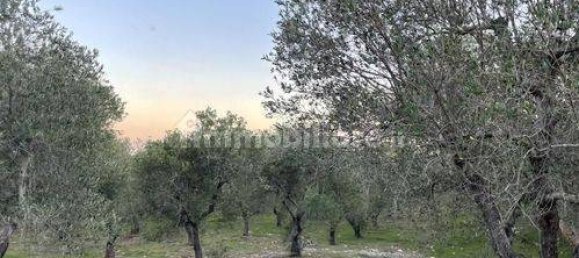 Вилла с 3 спальнями в Остуни, Италия № 133977 9