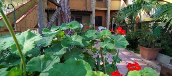 3غرفة شقة في Pula, Italy رقم 225589 10