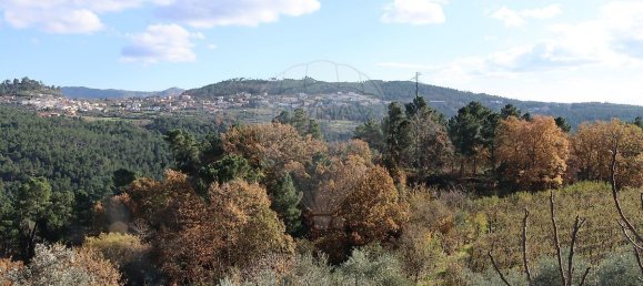 2 Schlafzimmer Haus in Sao Cosmado, Portugal, Nr. 170245 9