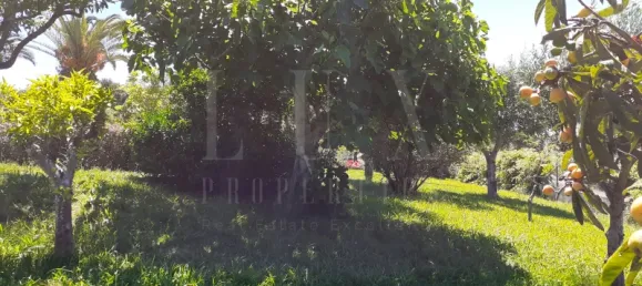 7 bedrooms Castles in Torres Novas, Portugal No. 49920 25