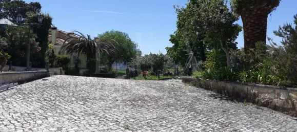 7 bedrooms Castles in Torres Novas, Portugal No. 49920 49