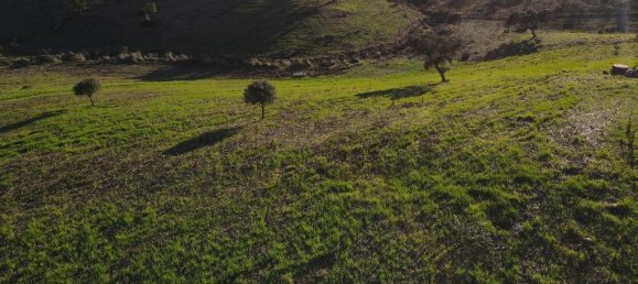 4 غرف نوم منزل في Serpa, Portugal رقم 71925 19