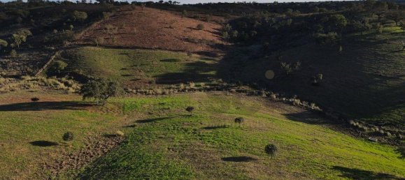 4 غرف نوم منزل في Serpa, Portugal رقم 71925 20