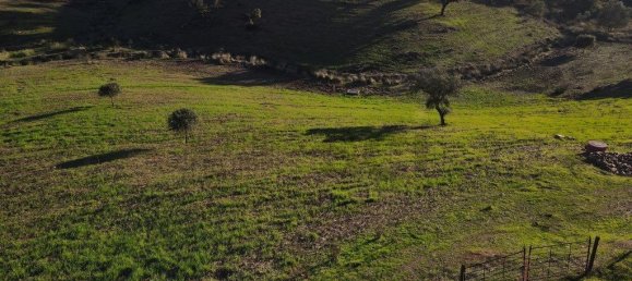 4 غرف نوم منزل في Serpa, Portugal رقم 71925 18