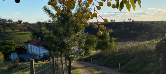 4 غرف نوم منزل في Serpa, Portugal رقم 71925 5