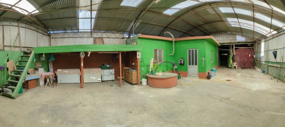 3 bedrooms House in Santo Varao, Portugal No. 189921 7