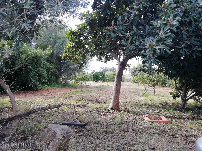 2880m² Land in Olhao, Portugal No. 321418