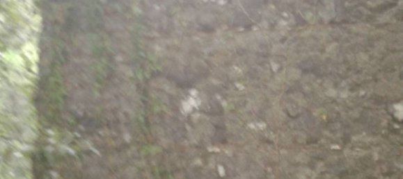 Terreno en Trecastagni, Italy 10000 m² No. 127604 9