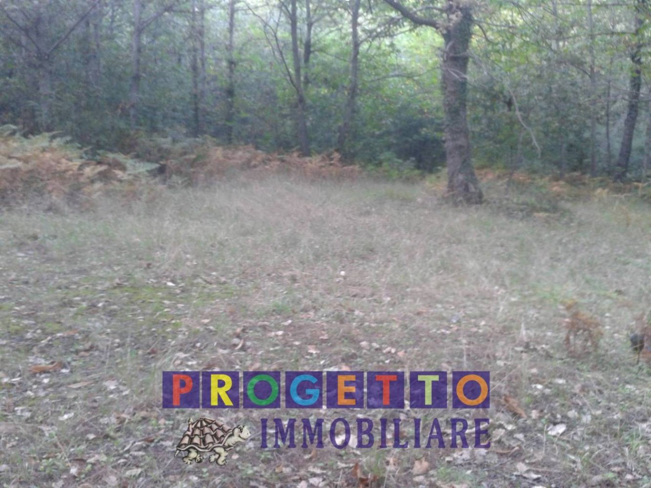 Terreno en Trecastagni, Italy 10000 m² No. 127604