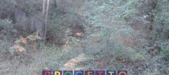 Terreno en Trecastagni, Italy 10000 m² No. 127604 3