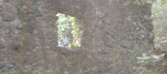 Terreno en Trecastagni, Italy 10000 m² No. 127604 5