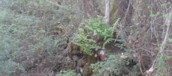 Terreno en Trecastagni, Italy 10000 m² No. 127604 6