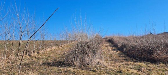  Land in Wippenham, Austria No. 72614 2