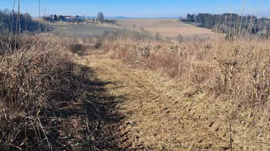  Land in Wippenham, Austria No. 72614