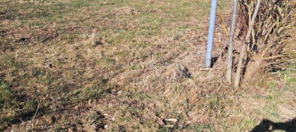  Land in Wippenham, Austria No. 72614 5