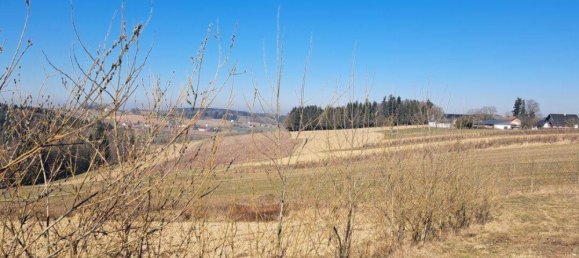  Land in Wippenham, Austria No. 72614 3