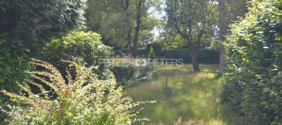  Land in Harburg, Germany No. 137981 5