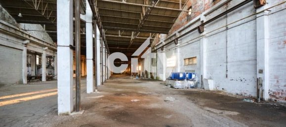 Almacén en Cartaxo, Portugal 18995 m² No. 90938 9