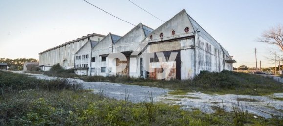 Almacén en Cartaxo, Portugal 18995 m² No. 90938 5