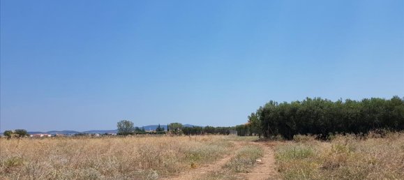 8687m² Hotel in Polygyros, Greece No. 4641 3