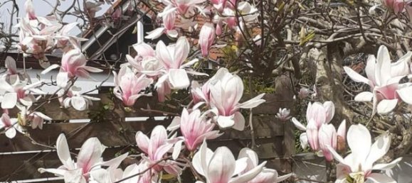 6 rooms House in Ebersberg, Germany No. 267138 21