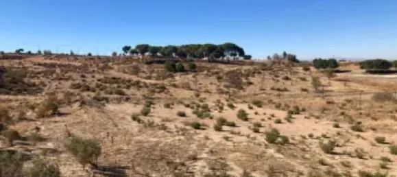 Terrain à Granada, Spain 700m² No. 138896 6