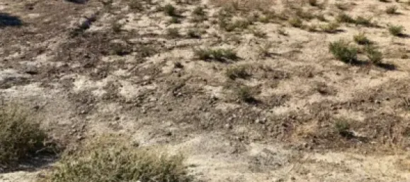 Terrain à Granada, Spain 700m² No. 138896 3