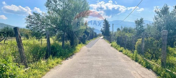 65543m² Land in Terrasini, Italy No. 266453 6