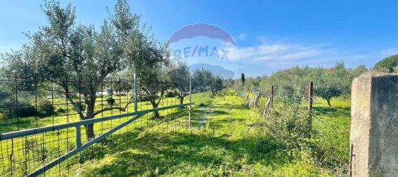 65543m² Land in Terrasini, Italy No. 266453 7