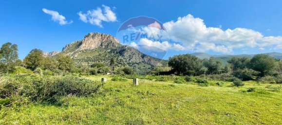 65543m² Land in Terrasini, Italy No. 266453 12