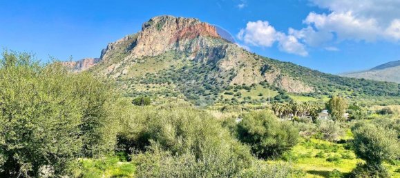 65543m² Land in Terrasini, Italy No. 266453 14