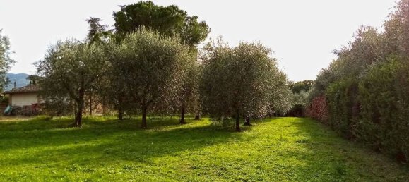 20 bedrooms Villa in Arezzo, Italy No. 327406 25